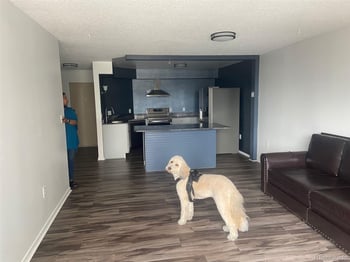 1625 Larimer St #2004, Denver, CO 80202