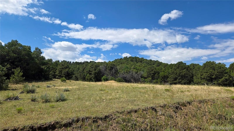 7 La Veta Pines Ranches, Walsenburg, CO 81089