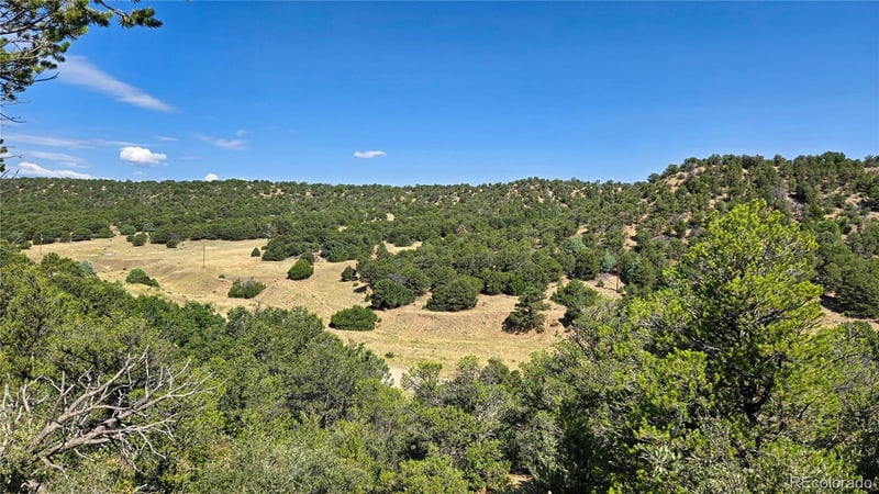 7 La Veta Pines Ranches, Walsenburg, CO 81089