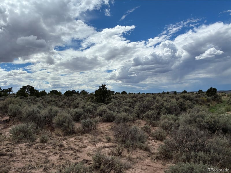 LOT 7291 Luvie Rd, Fort Garland, CO 81133