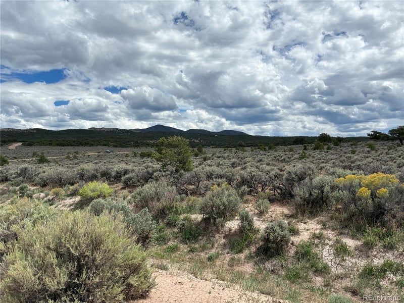 LOT 7291 Luvie Rd, Fort Garland, CO 81133
