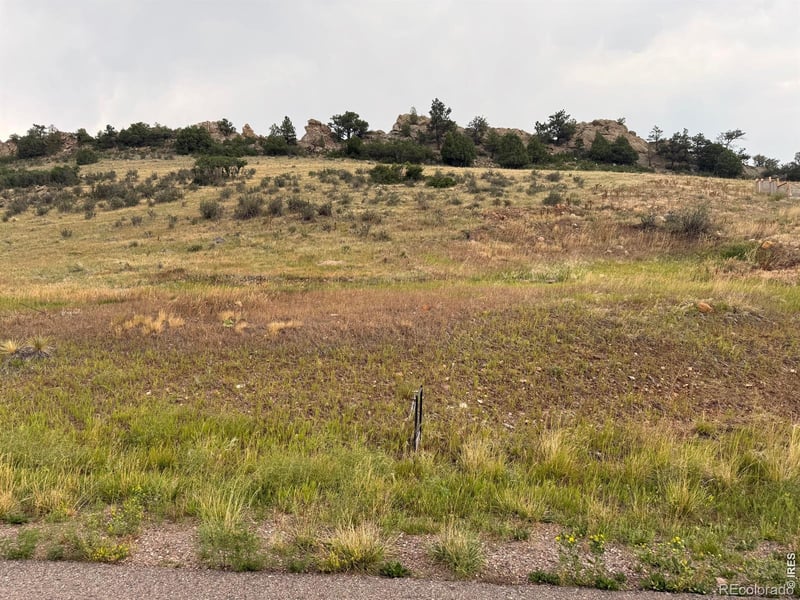 5741 Country Club Dr, Larkspur, CO 80118