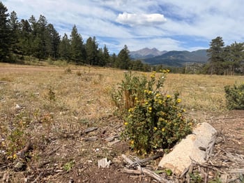 745 Hickory Dr, Lyons, CO 80540