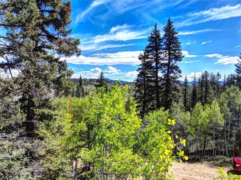 75 Swiggler Rd, Jefferson, CO 80456