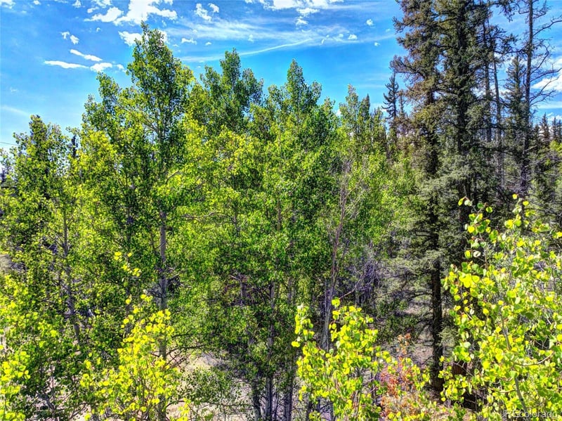 75 Swiggler Rd, Jefferson, CO 80456