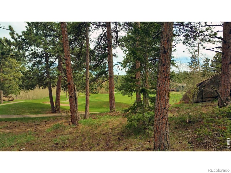 520 Fox Acres Drive W Dr W, Red Feather Lakes, CO 80545