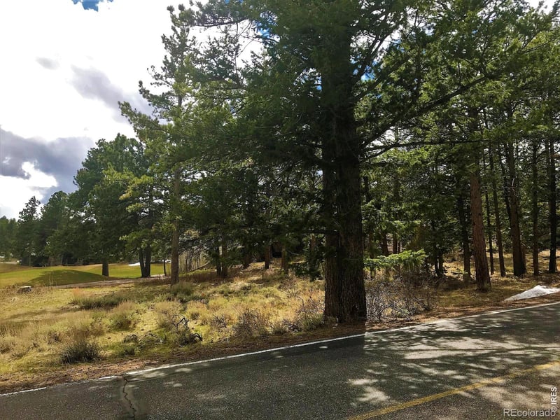 520 Fox Acres Drive W Dr W, Red Feather Lakes, CO 80545