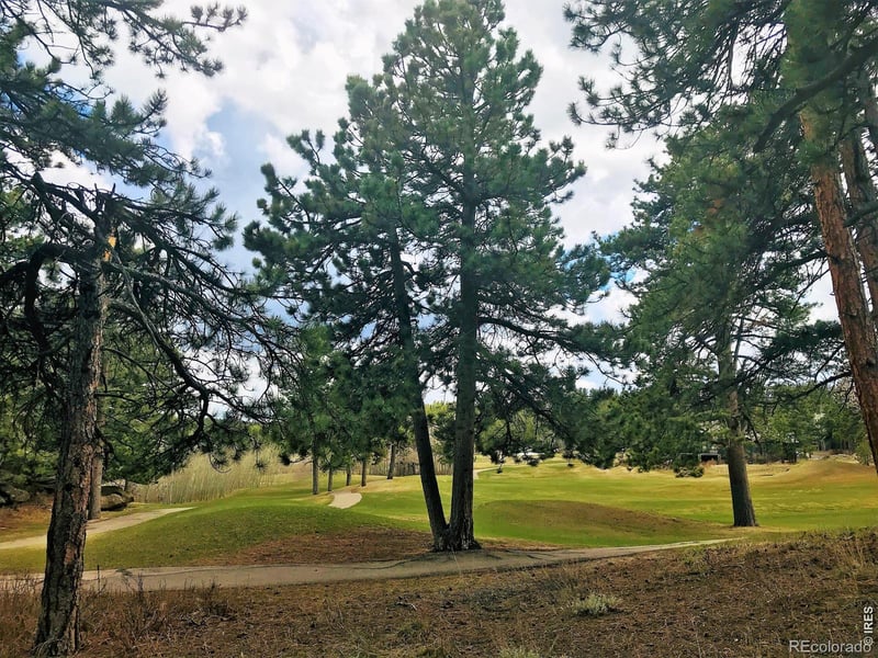 520 Fox Acres Drive W Dr W, Red Feather Lakes, CO 80545