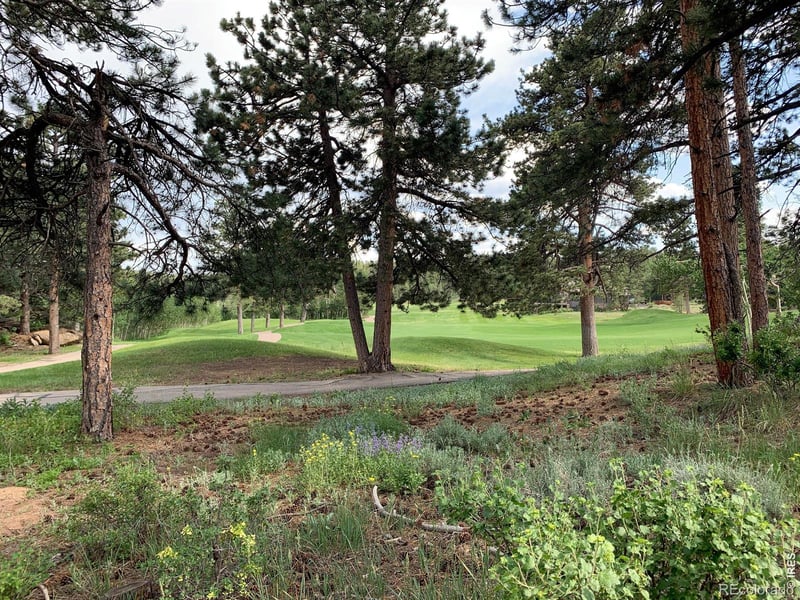 520 Fox Acres Drive W Dr W, Red Feather Lakes, CO 80545