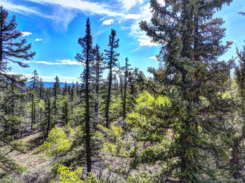 820 Overland Cir, Jefferson, CO 80456