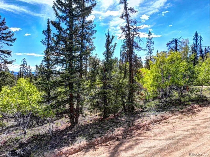 820 Overland Cir, Jefferson, CO 80456