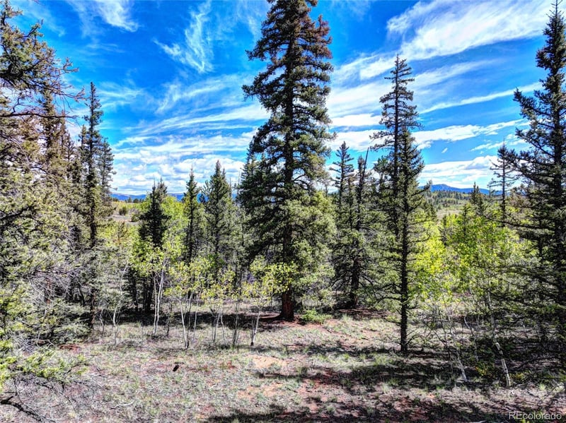 860 Shoshone Dr, Como, CO 80456