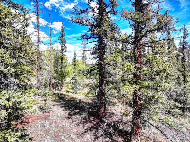 860 Shoshone Dr, Como, CO 80456