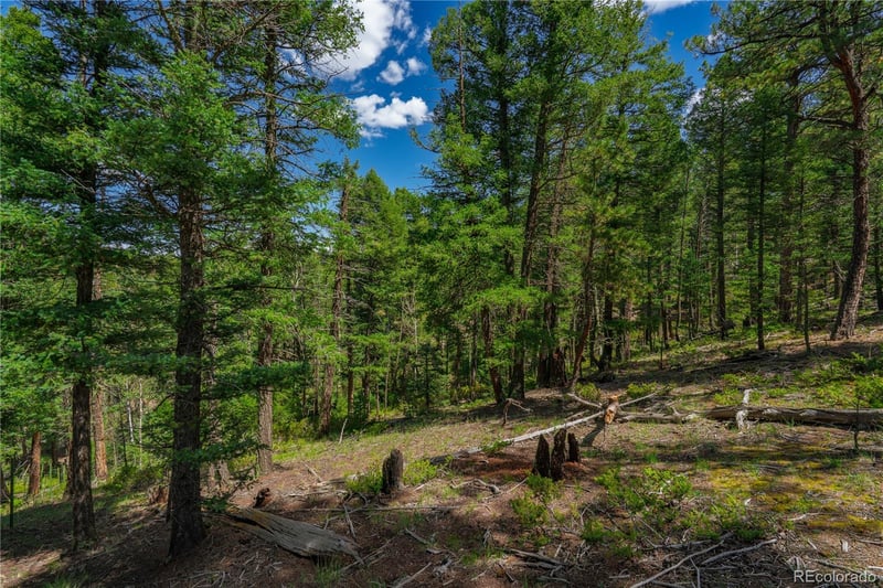 384 Insmont Ln, Florissant, CO 80816