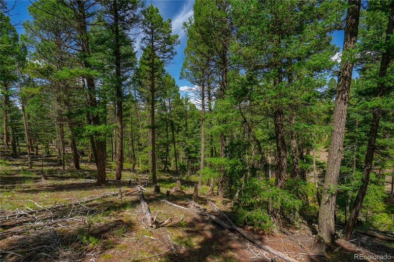 384 Insmont Ln, Florissant, CO 80816