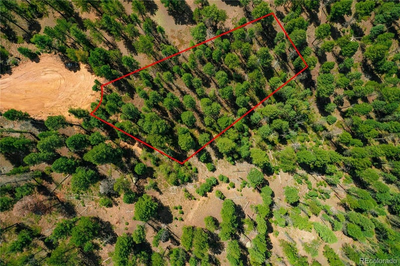 384 Insmont Ln, Florissant, CO 80816