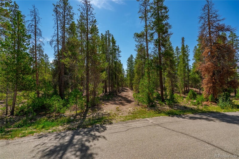 589 - 611 Augusta Dr, Leadville, CO 80461