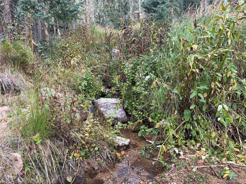 9AC Clinton Rd Lot 6616, San Luis, CO 81152