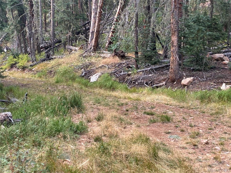 9AC Clinton Rd Lot 6616, San Luis, CO 81152