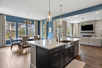 4616 Girardot Point, Castle Rock, CO 80104