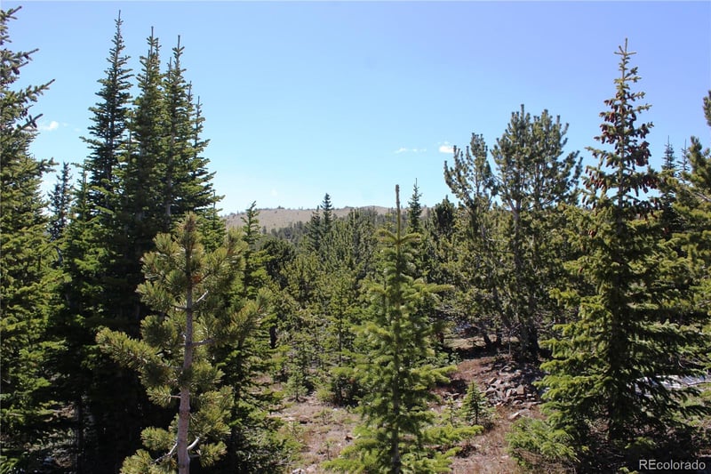 19420 Kingston Peak Rd Lot 19420, Black Hawk, CO 80422