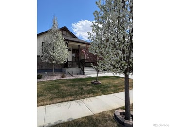 1210 Muskox St, Severance, CO 80550