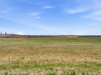 7989 Rannoch Moor Way Lot 153, Colorado Springs, CO 80908