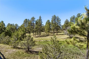 5469 Fox Sparrow Rd, Parker, CO 80134