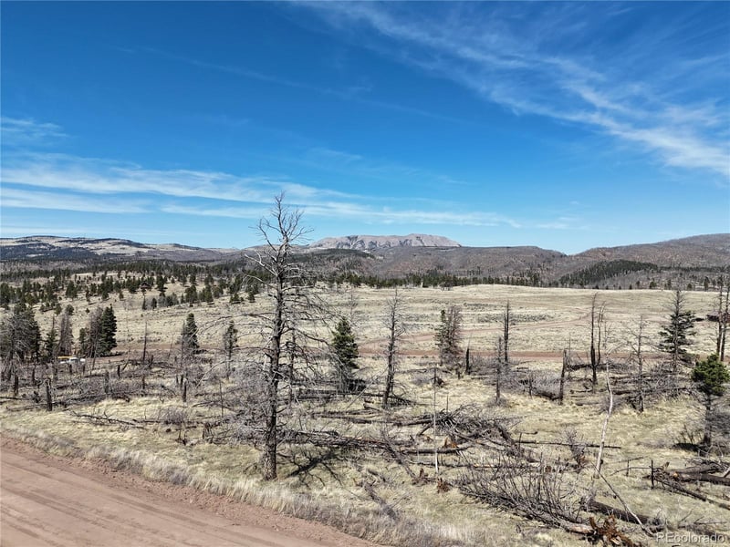 LOT 506 Forbes Park Rd, Fort Garland, CO 81133