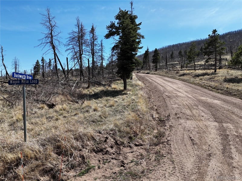 LOT 506 Forbes Park Rd, Fort Garland, CO 81133
