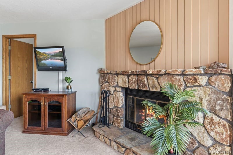 89310 Ryan Gulch Rd #201, Silverthorne, CO 80498