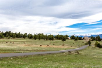 25478 Foothills Dr N, Golden, CO 80401