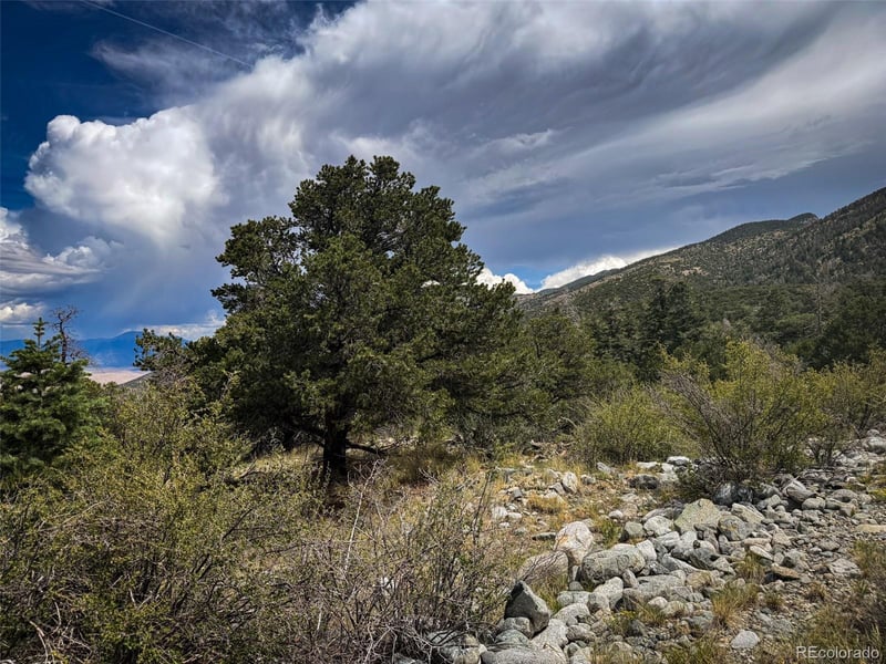 33 Stage Station Cir, Mosca, CO 81146