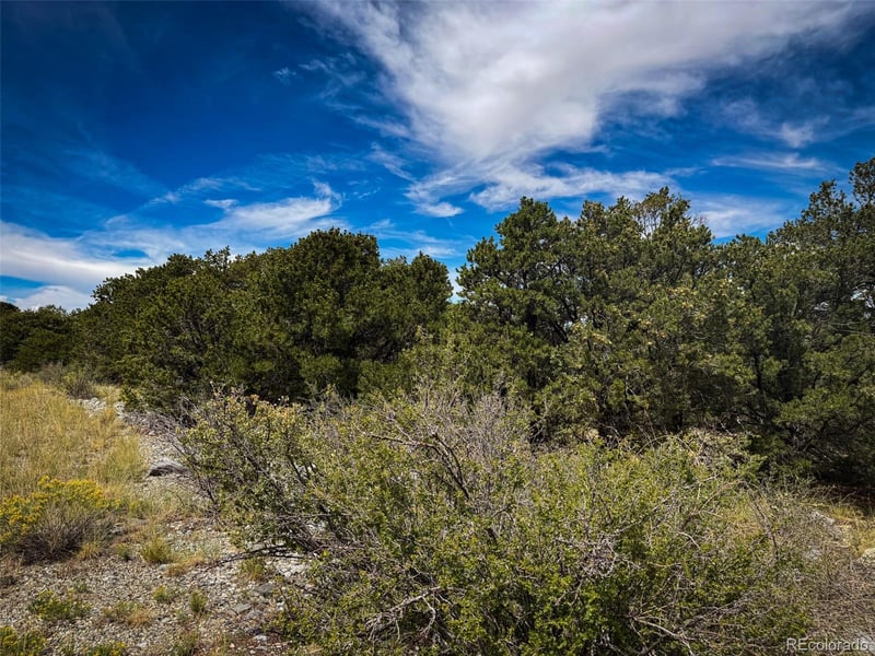 33 Stage Station Cir, Mosca, CO 81146