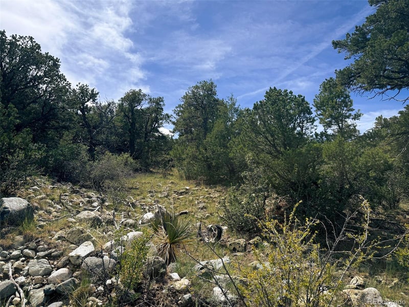 421 Lake Of The Falls Pw, Mosca, CO 81146