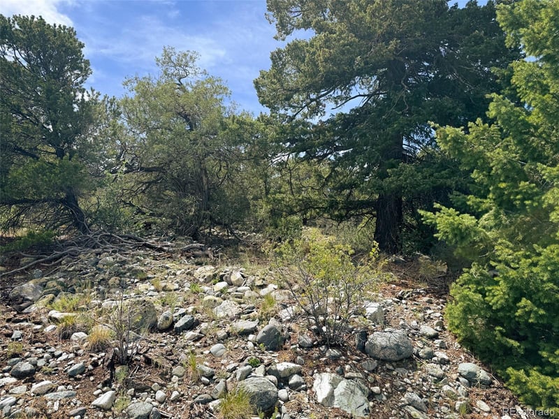 421 Lake Of The Falls Pw, Mosca, CO 81146