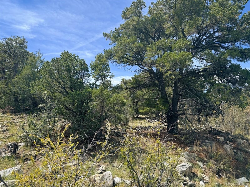 421 Lake Of The Falls Pw, Mosca, CO 81146