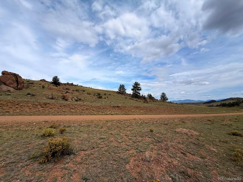 Cahokia Rd, Hartsel, CO 80449