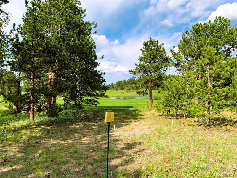 2 Fox Meadow Ln, Red Feather Lakes, CO 80545