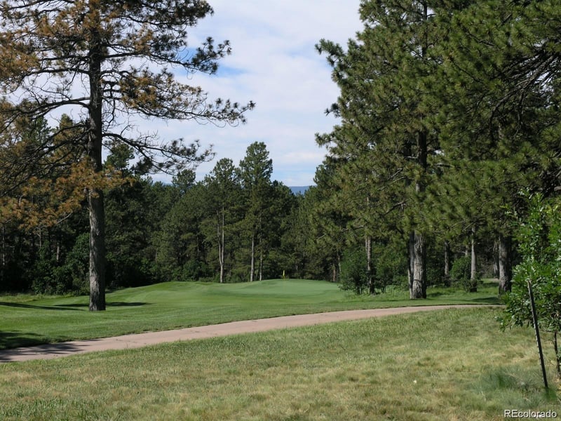 956 Country Club Pw Lot 5, Castle Rock, CO 80108