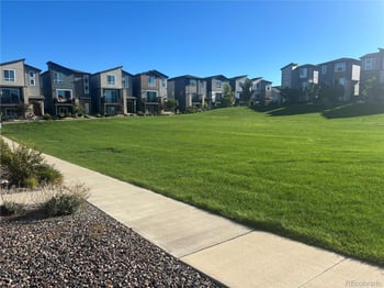 11368 Modern Meadow Loop, Colorado Springs, CO 80921