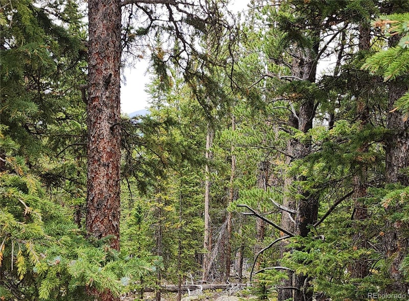 806 Bobcat Ln Lot 0428, Fairplay, CO 80440