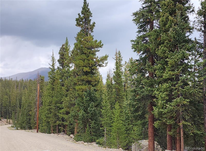 806 Bobcat Ln Lot 0428, Fairplay, CO 80440