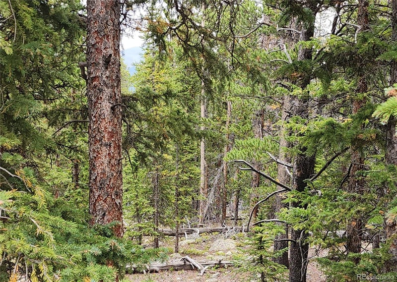 806 Bobcat Ln Lot 0428, Fairplay, CO 80440