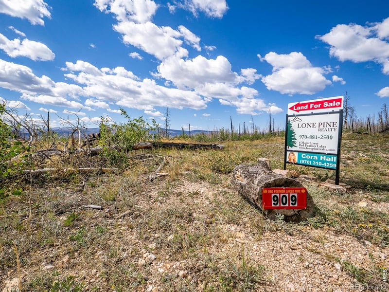 909 Forest Road 171, Red Feather Lakes, CO 80545