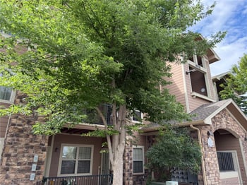 10733 Twenty Mile Rd #104, Parker, CO 80134