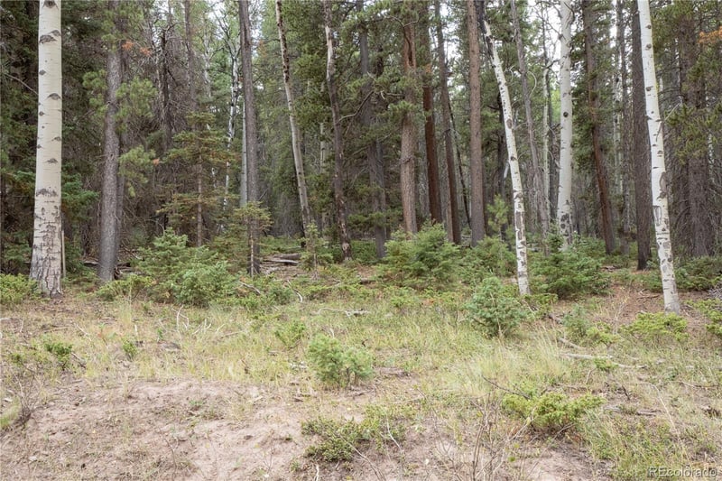 Lot 2915 Henderson Dr Lot 2915, Fort Garland, CO 81133