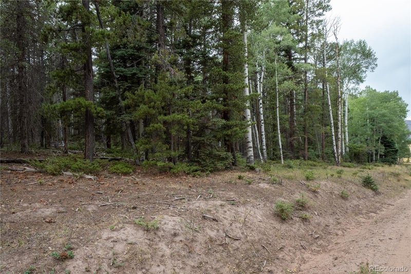 Lot 2915 Henderson Dr Lot 2915, Fort Garland, CO 81133