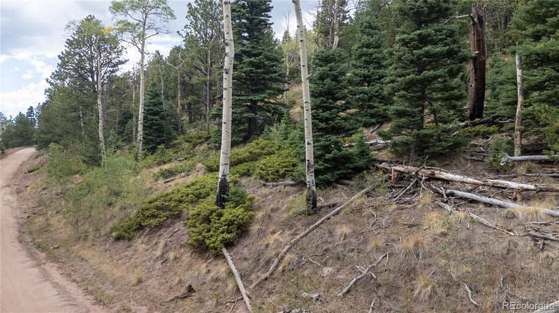 Lot 2915 Henderson Dr Lot 2915, Fort Garland, CO 81133