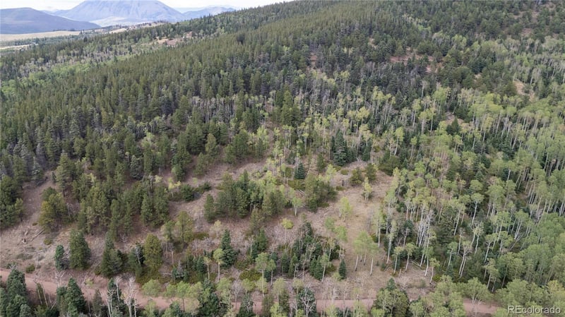 Lot 2915 Henderson Dr Lot 2915, Fort Garland, CO 81133